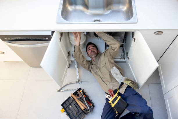 Best Plumbing Services Near Me  in South Pekin, IL