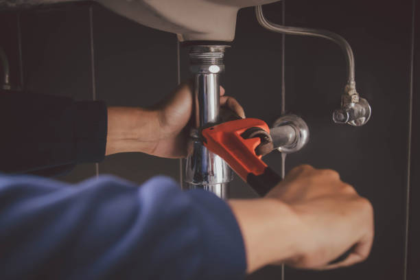 Best Local Plumber Services  in South Pekin, IL